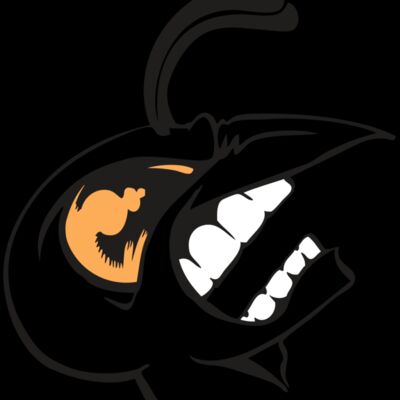 BAW BEE 19 RC Thumbnail