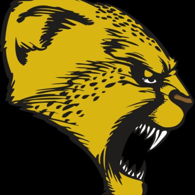 BAW CHEETAH 13 RC Thumbnail