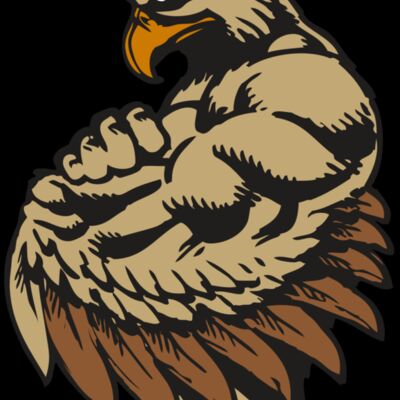 BAW HWK FLCN 02 RC Thumbnail