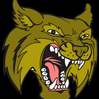 AR5 BOBCAT 20 RQC Thumbnail