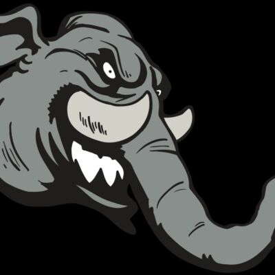 AR5 Elephant 06 RQC Thumbnail