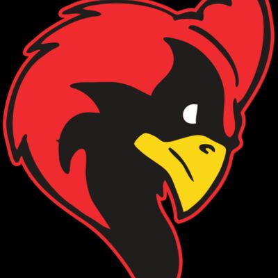 AR CARDINAL 24 RC Thumbnail