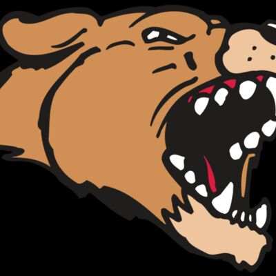 AR5 COUGAR 33 RQC Thumbnail