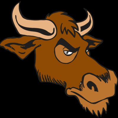 AR5 Bull 06 RQC Thumbnail