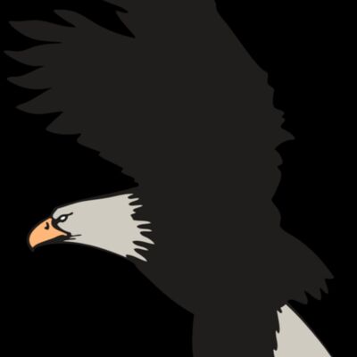 AR EAGLE 91 RC Thumbnail