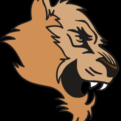 AR5 COUGAR 15 RQC Thumbnail