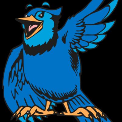 BAW BLUEJAY 06 RC Thumbnail