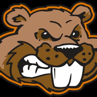 AR BEAVER 11 RC Thumbnail