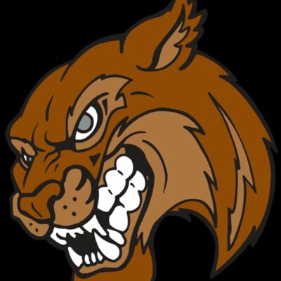 AR5 BOBCAT 07 RQC Thumbnail