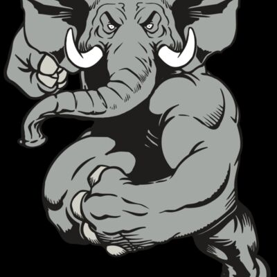 AR ELEPH 18 RC Thumbnail