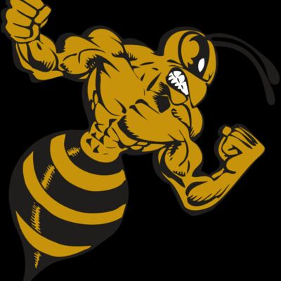 BAW BEE 01 RC Thumbnail