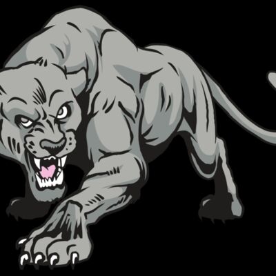 AR31 COUGAR 01 RQC Thumbnail