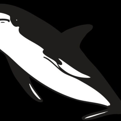 AR DOLPIN 13 RC Thumbnail