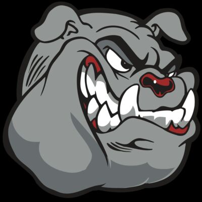 AR BDOG 13 RC Thumbnail