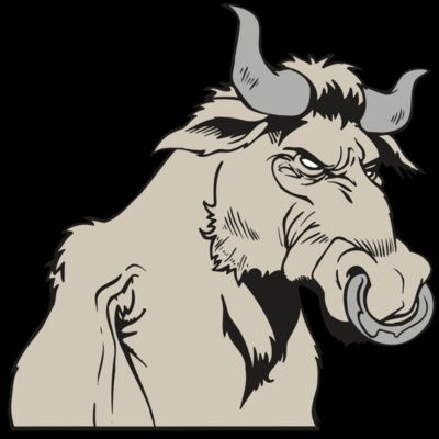 AR5 BULL 08 RQC Thumbnail