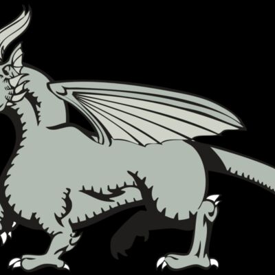 BAW DRAGON 20 RC Thumbnail