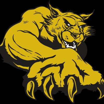 AR WILDCAT 26 RC Thumbnail