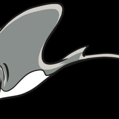 AR19 STINGRAY 01 RQC Thumbnail