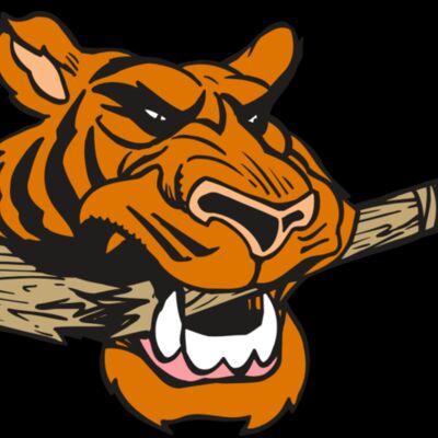 AR5 Tiger 11 RQC Thumbnail