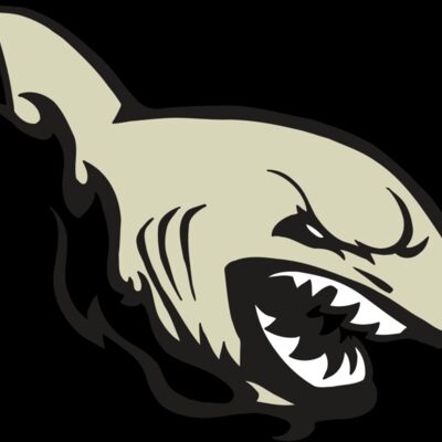 AR5 Shark 08 RQC Thumbnail