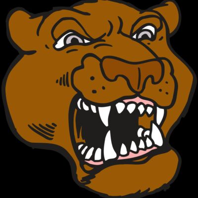 AR5 COUGAR 29 RQC Thumbnail