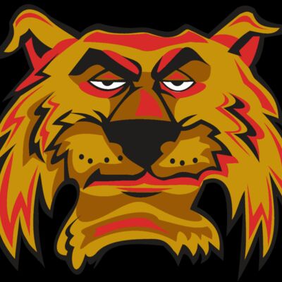 WILDCAT HD0503 RQC Thumbnail