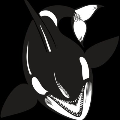 BAW KLRWHALE 01 RC Thumbnail