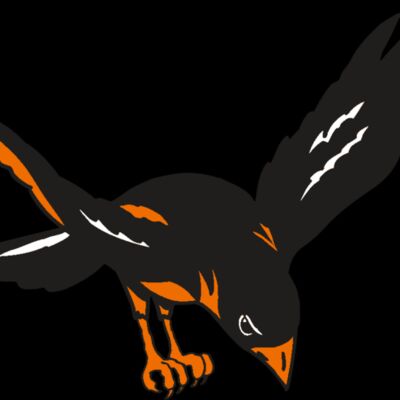 AR ORIOLE 16 RC Thumbnail