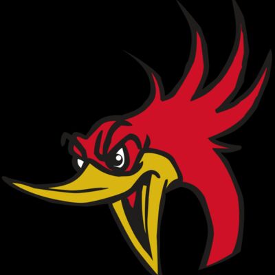 AR31 ROADRUNNER 02 RQC Thumbnail