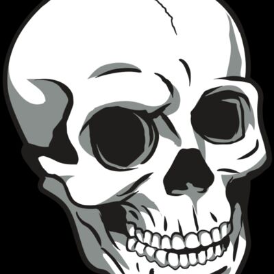 AR24 SKULL 14 RQC Thumbnail