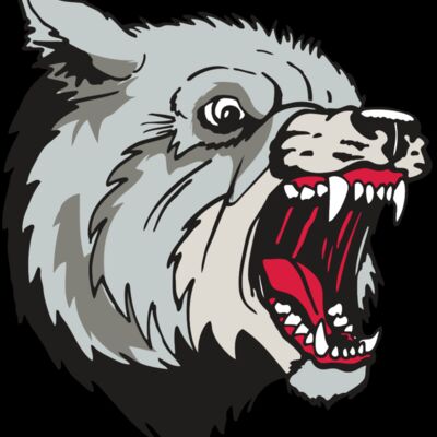 AR WOLF 38 RC Thumbnail