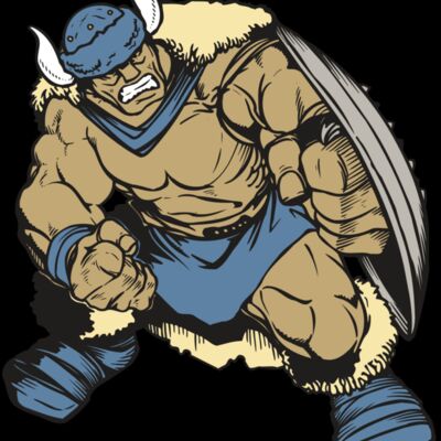 AR VIKING 36 RC Thumbnail