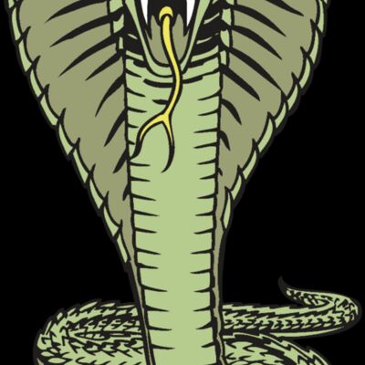 BAW SNAKE 15 RC Thumbnail