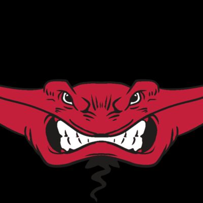 AR19 STINGRAY 03 RQC Thumbnail