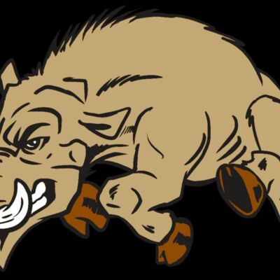 AR20 RAZORBACK 37 RQC Thumbnail