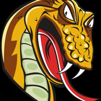 SNAKE HD0502 RQC Thumbnail