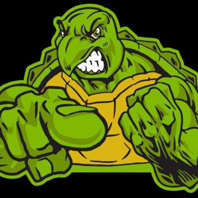 AR31 TURTLE 02 RQC Thumbnail