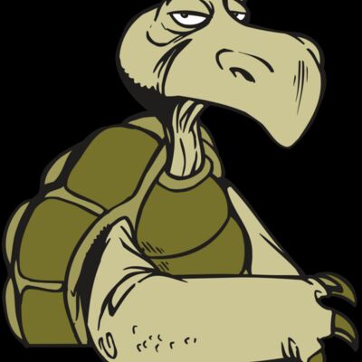 AR5 Turtle 01 RQC Thumbnail