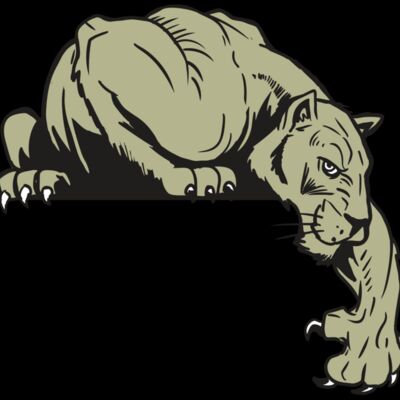 AR10 PANTHER 06 RQC Thumbnail