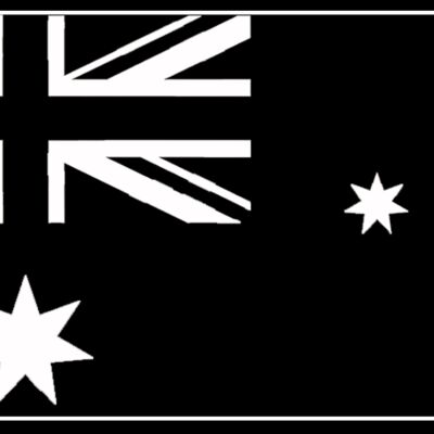 white trans flag Thumbnail