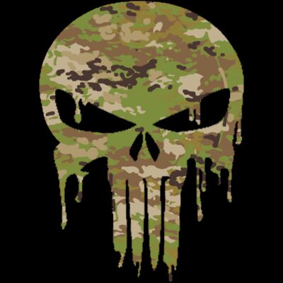 punisher skull AMCU Thumbnail