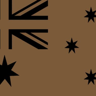 Company logo flag brown Thumbnail